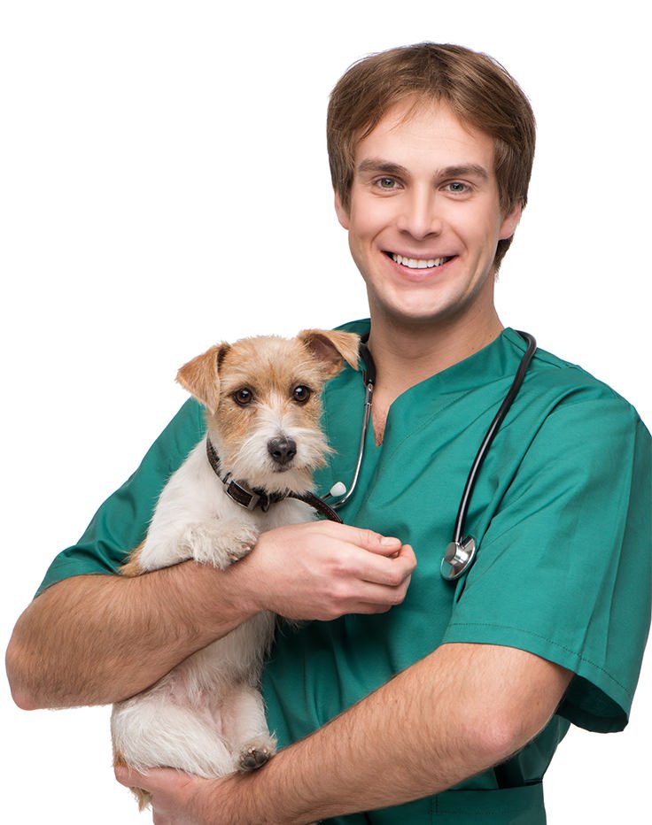 man_dog